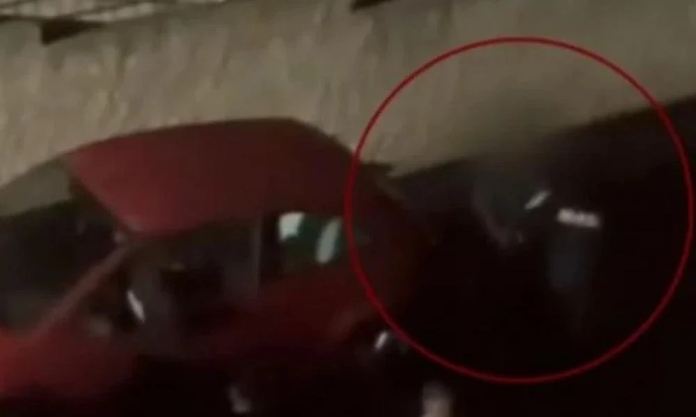 Λιόσια: Βίντεο από τη σύλληψη του 57χρονου - «Δεν θέλω να με δέσετε»